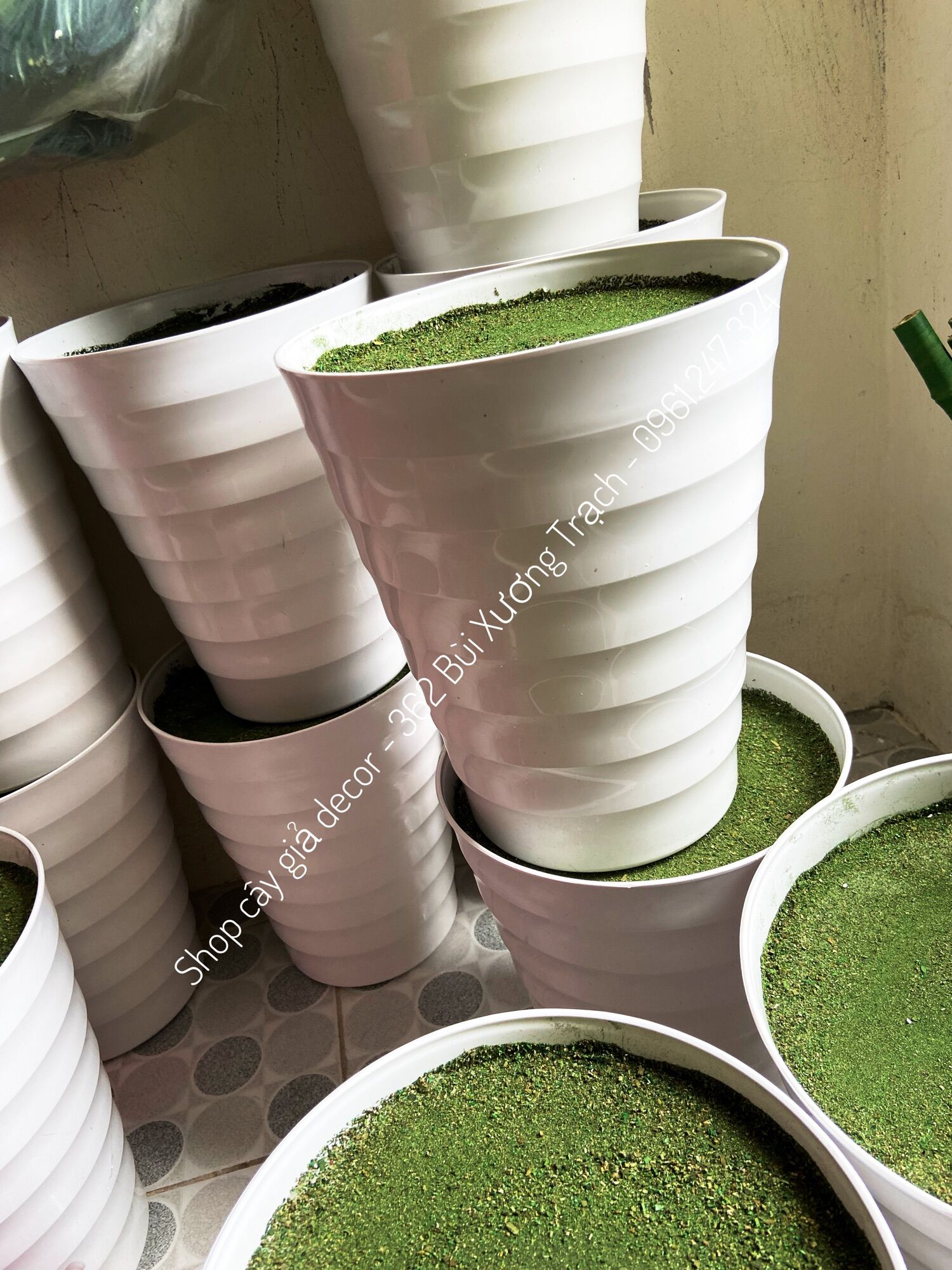 cây thiết mộc lan 1m - cây giả trang trí