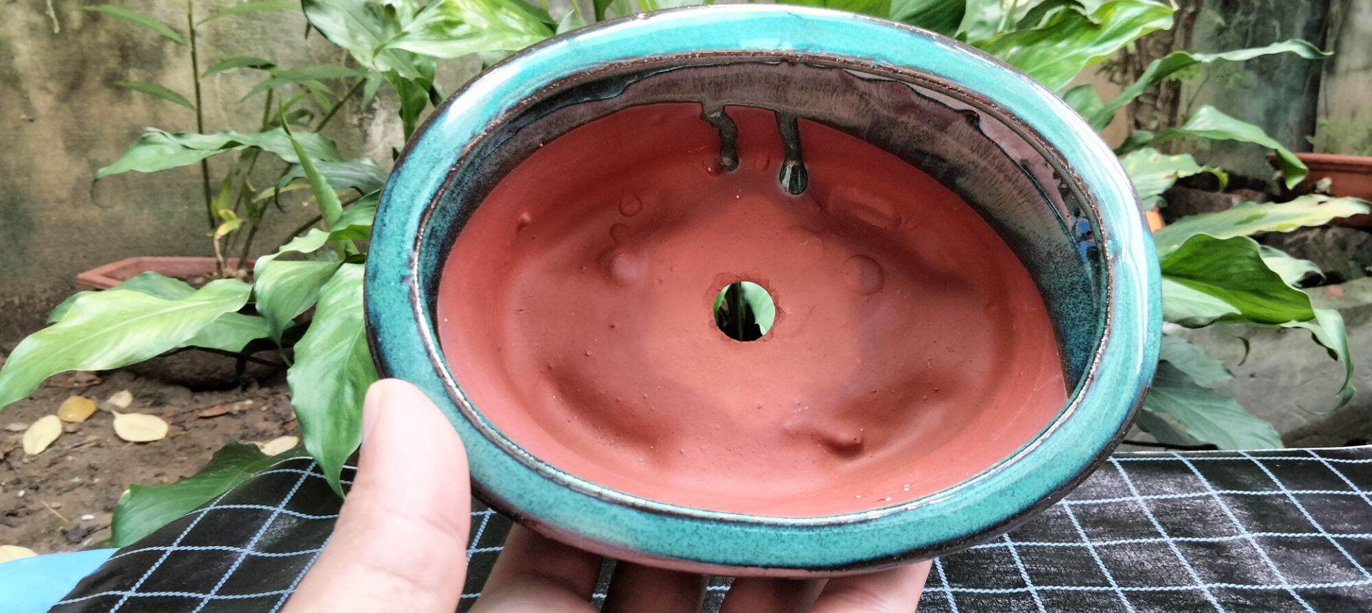 Chậu bonsai bát tràng ovan dáng cao