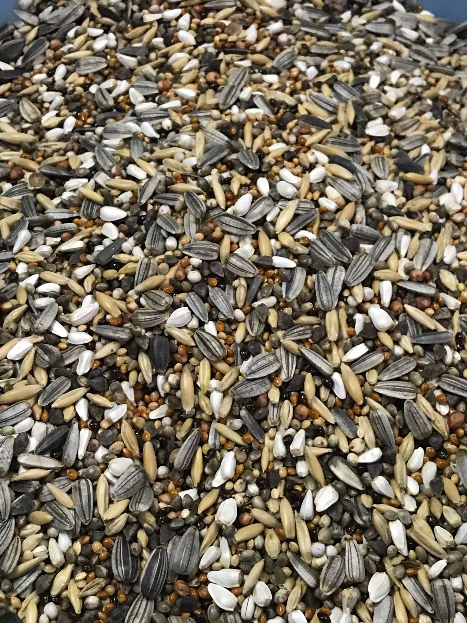Hạt trộn VẸT,LB,SUN,COKATIEL…(Gói 1KG)