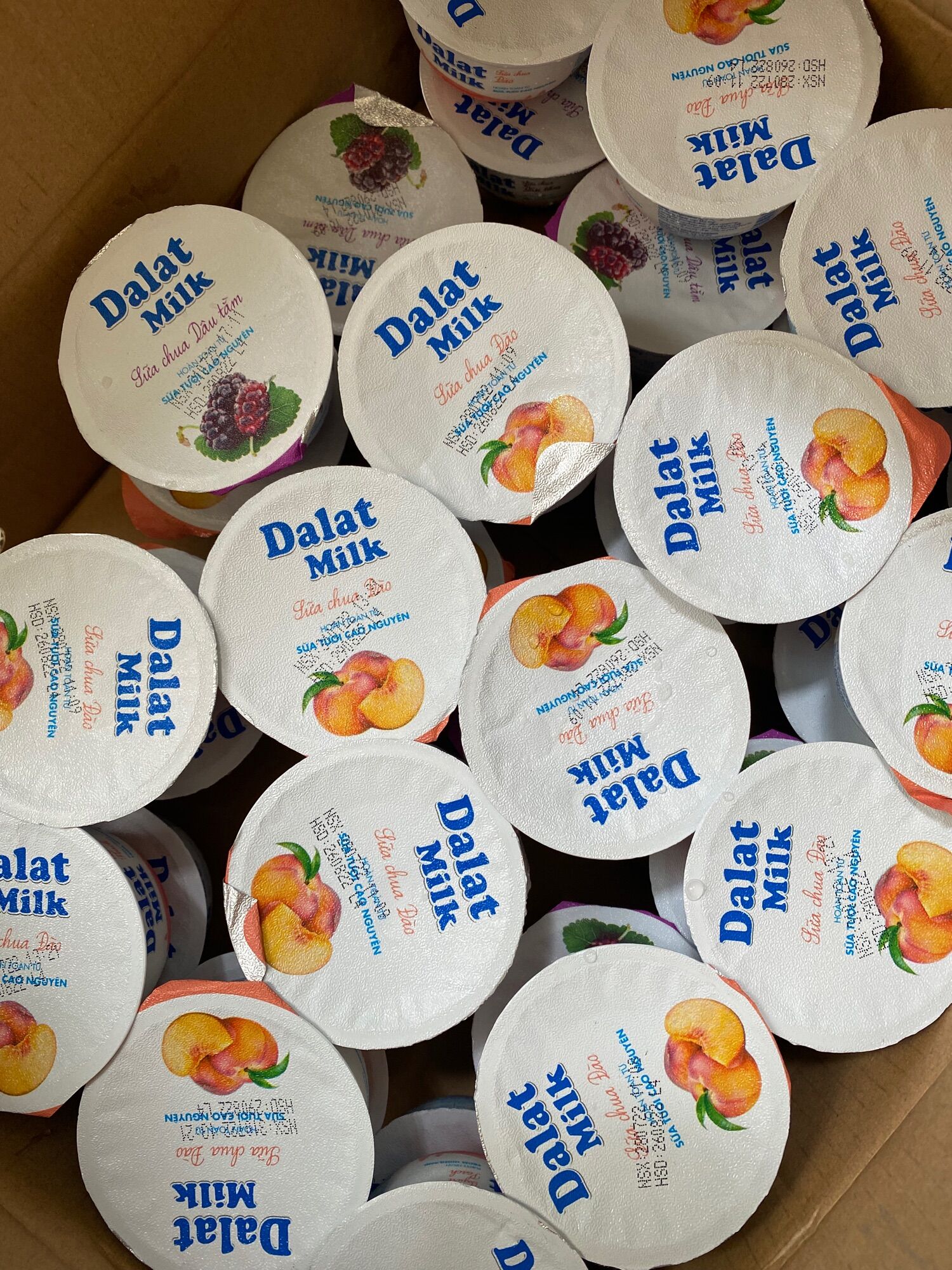 Sữa Chua Ăn Dâu Tây 100Gr Dalatmilk