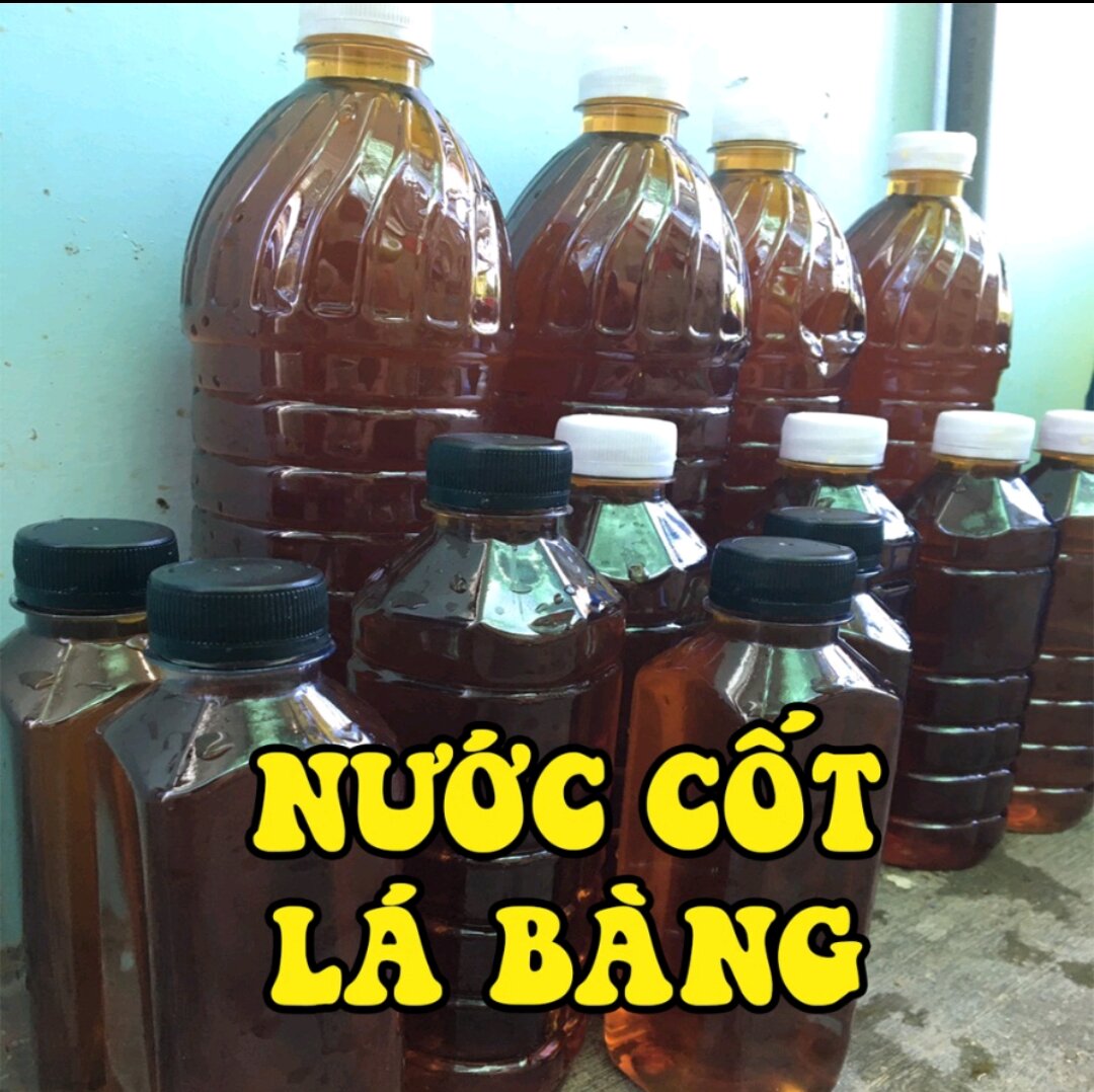 Cốt LÁ BÀNG ĐẬM ĐẶC thần dượcc CÁA CẢNH-chai 500ml(500gram)