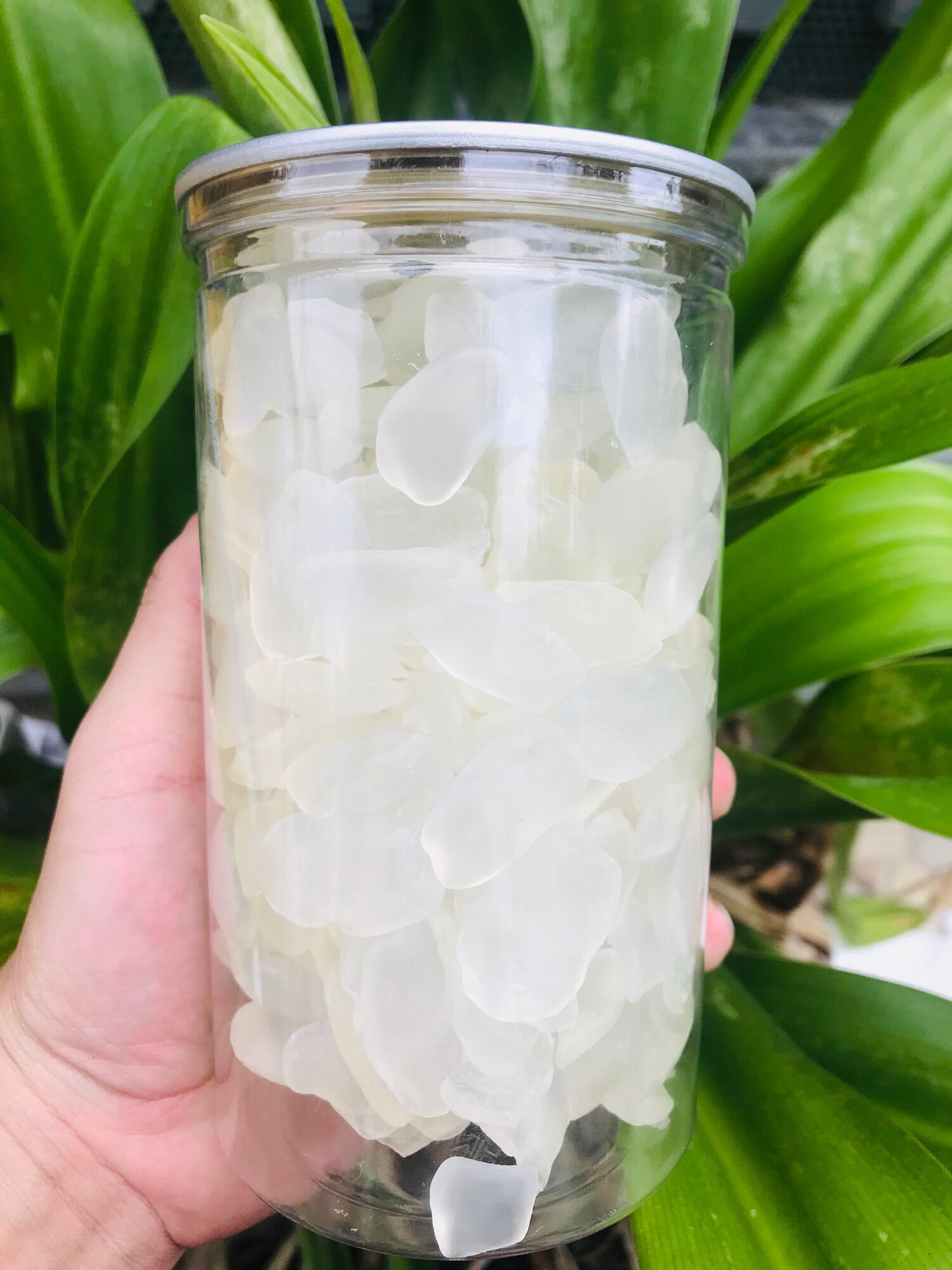 500gr thốt nốt thái sấy dẻo