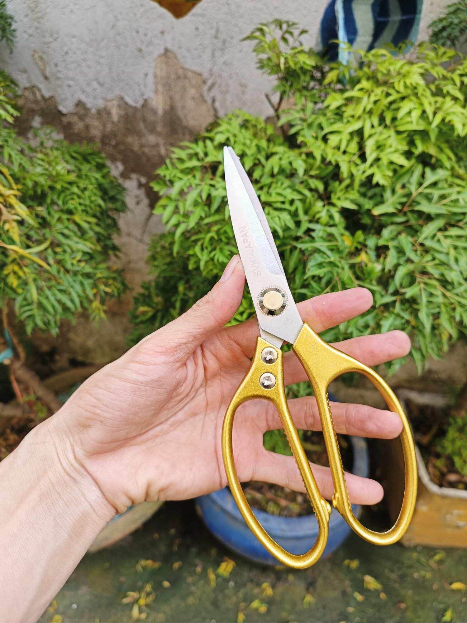 combo bộ dao kéo làm bếp nhật