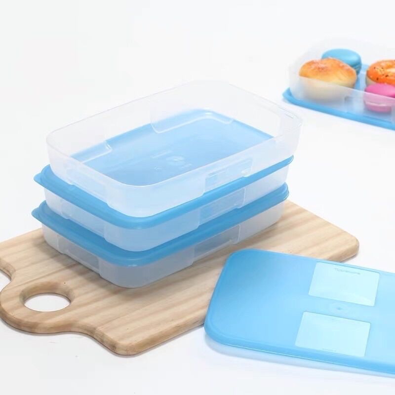 Hộp trữ đông Tupperware 650ml set 4 hộp