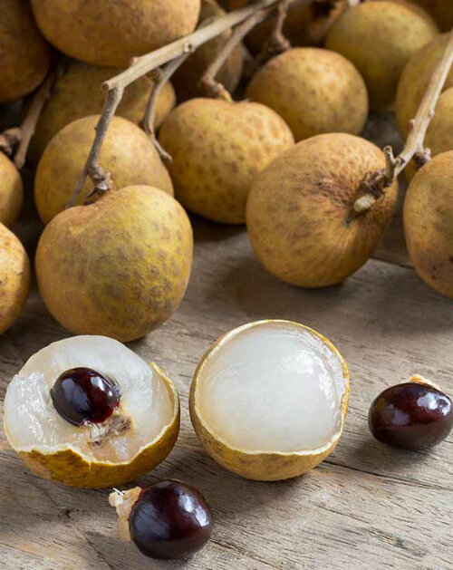 Cây giống Thanh Nhãn, Nhãn bắp cải giòn, ngọt thanh