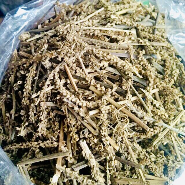 Bông mã đề ( xa tiền tử) thanh nhiệt 300g
