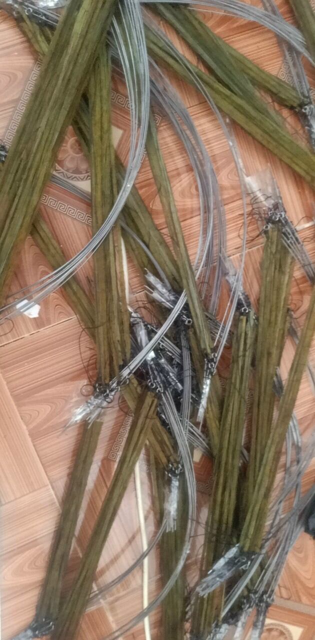 5 cùng bẫy cút