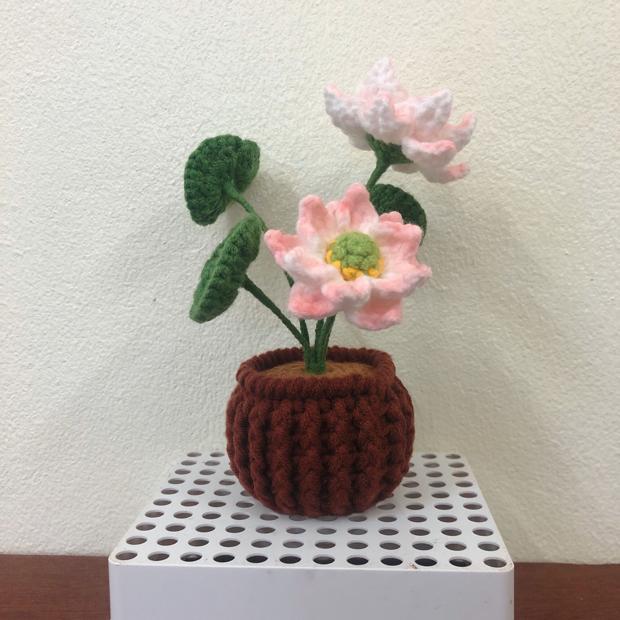 Chậu Hoa Sen mini bằng len handmade