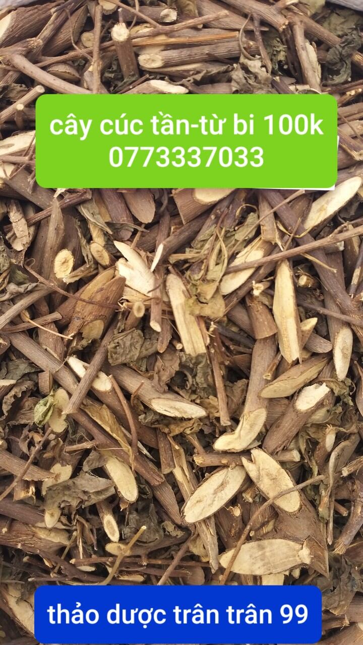 cây cúc tần- từ bi phơi khô 1kg