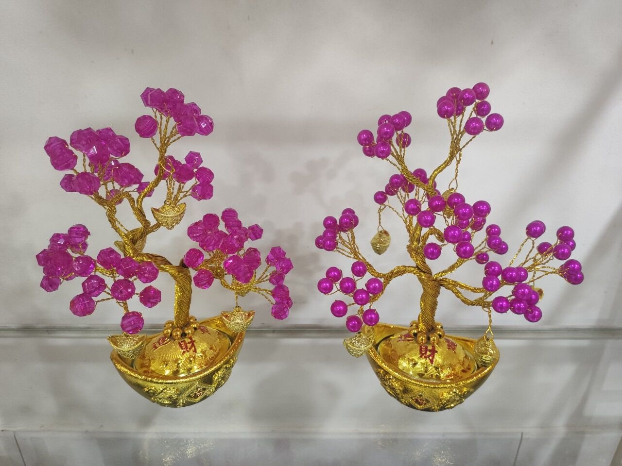 Cây kim tiền mini cao 16cm