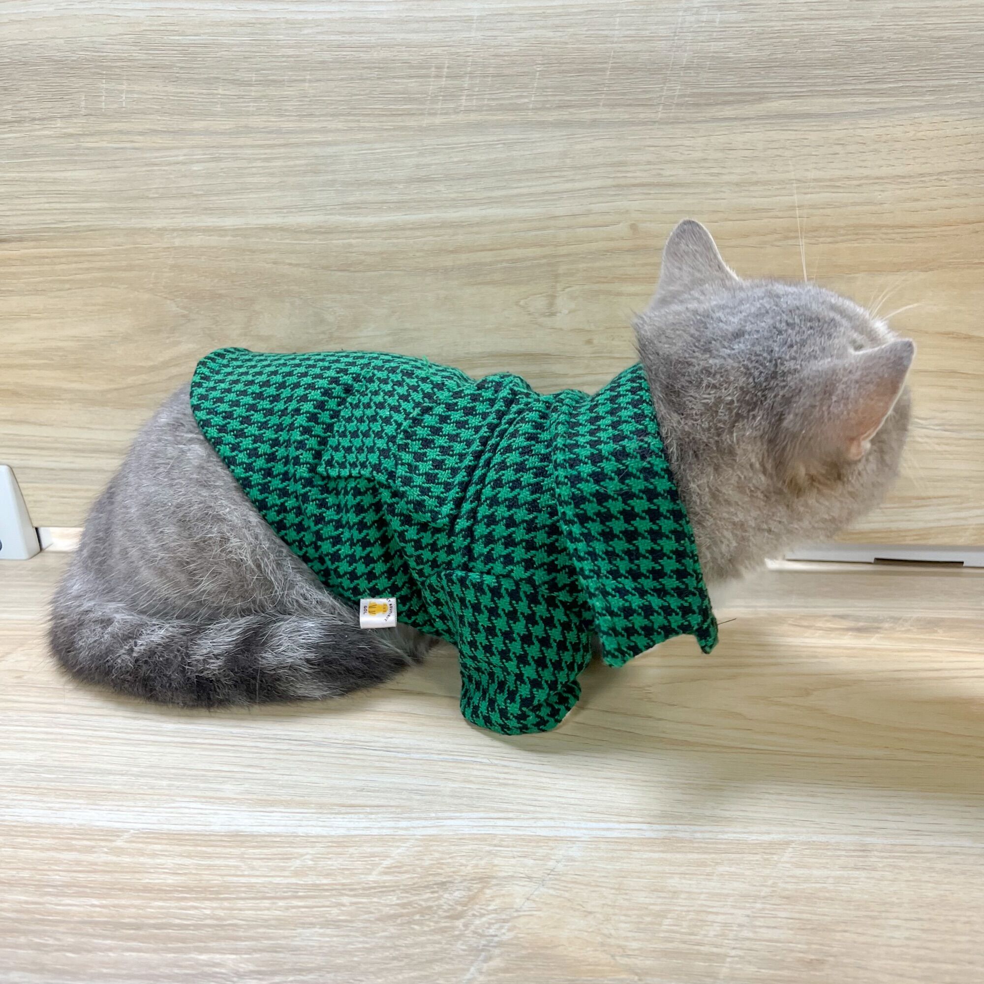 [XS - 4XL] Áo sơ mi dạ tweed cho chó mèo thú cưng