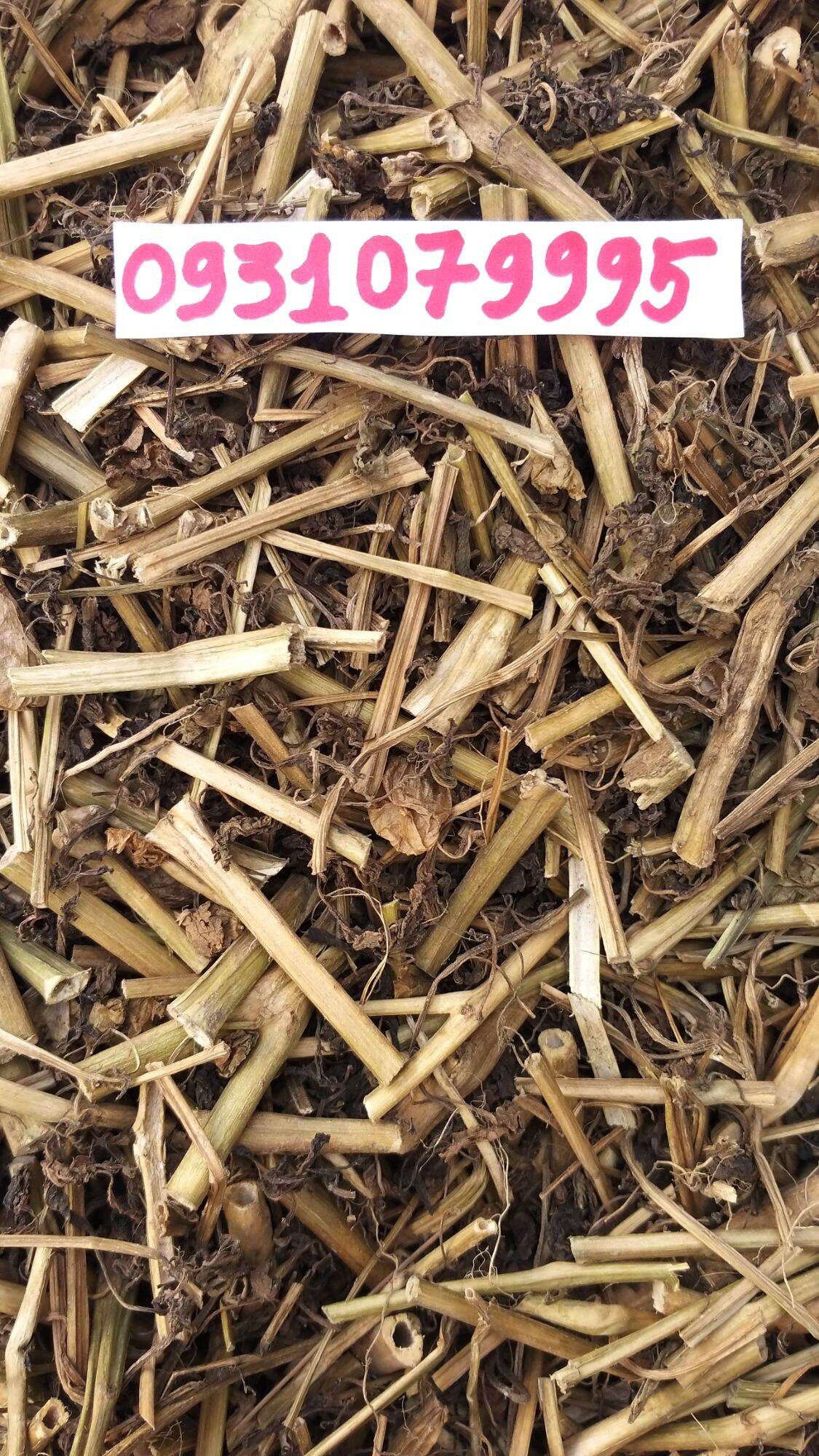 cây tầm bóp - cây thù lù phơi khô 1kg