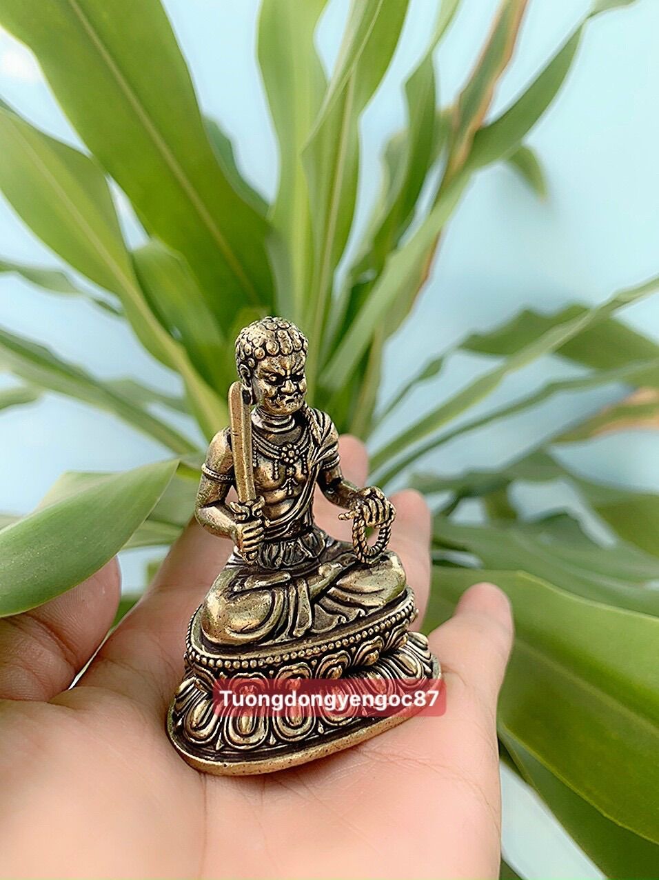 Tượng đồng Bất động minh vương