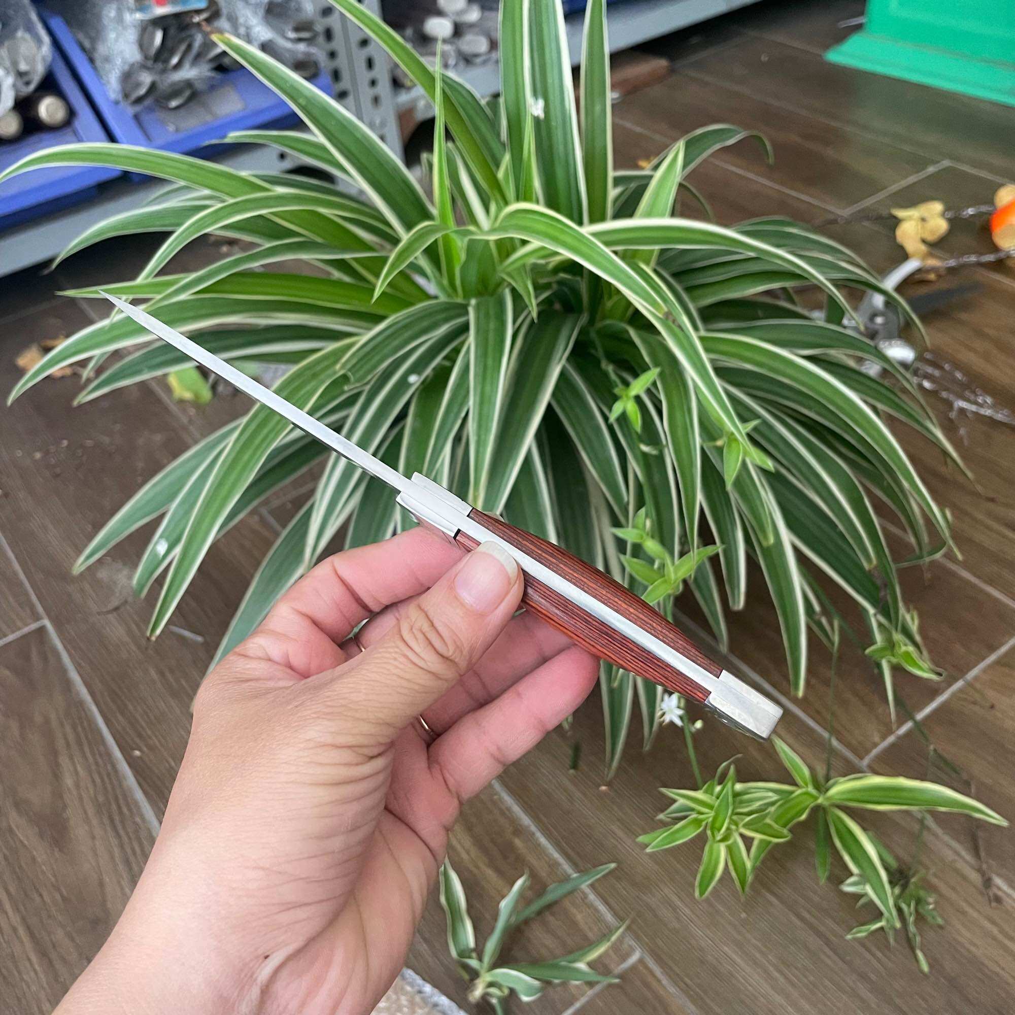 Dao gọt hoa quả có bao đựng, 19.5cm