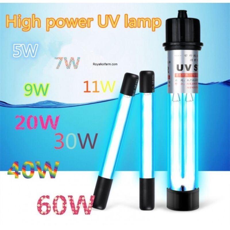 Bóng ĐÈN UV DIỆT KHUẨN - RÊU - TẢO 9W
