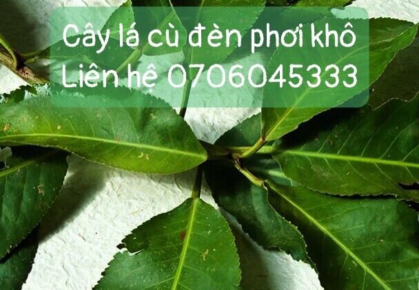 Cây cù đèn phơi khô 1 ký
