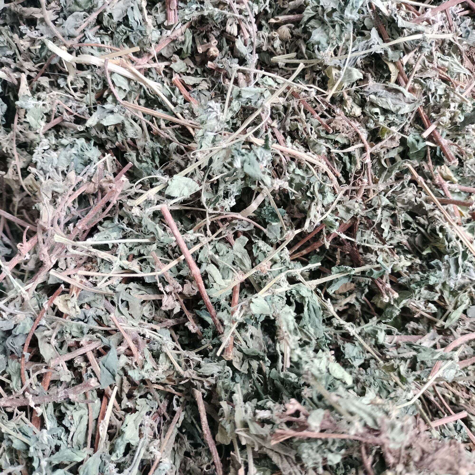 Bọ Mắm _thuốc Dòi sấy khô 500g