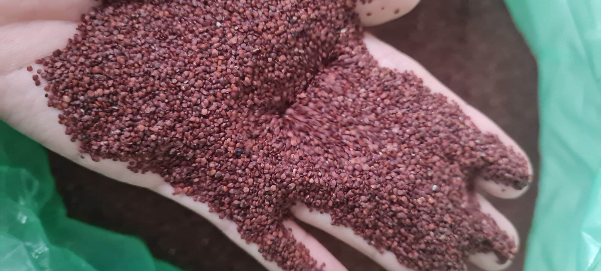 Gói hạt ngũ hoa đắp mặt 1kg