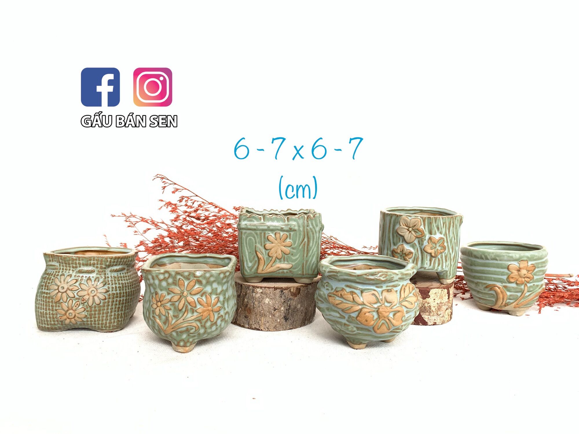 Combo 6 chậu nhập Trung - chậu trồng sen đá/xương rồng