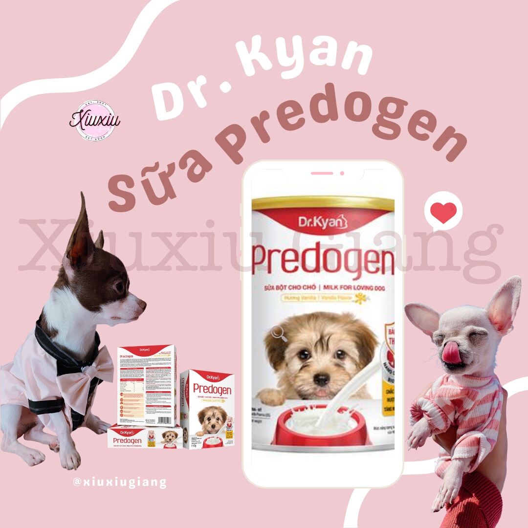 Sữa bột cho chó Predogen Dr.Kyan 110gr