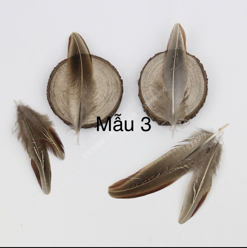 Lông vũ hoa văn tự nhiên, lông vũ làm dreamcatcher