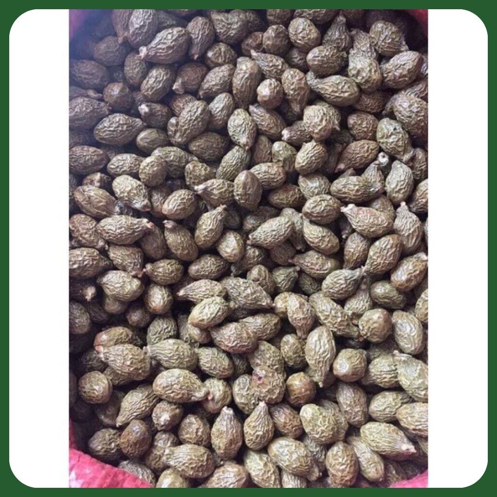 Hạt ươi bay loại đặc biệt siêu nở ( Hạt size lớn) túi 250gr
