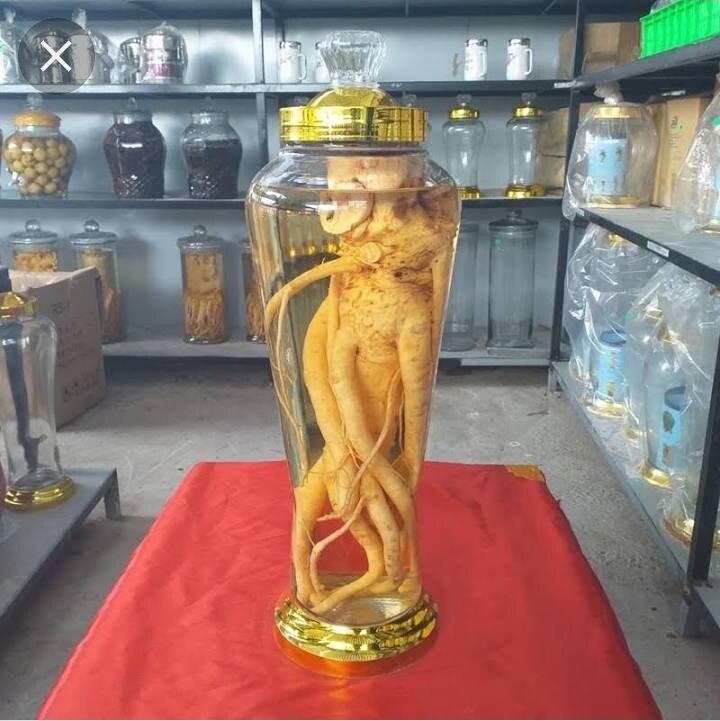 Bình sâm 7 lít không van