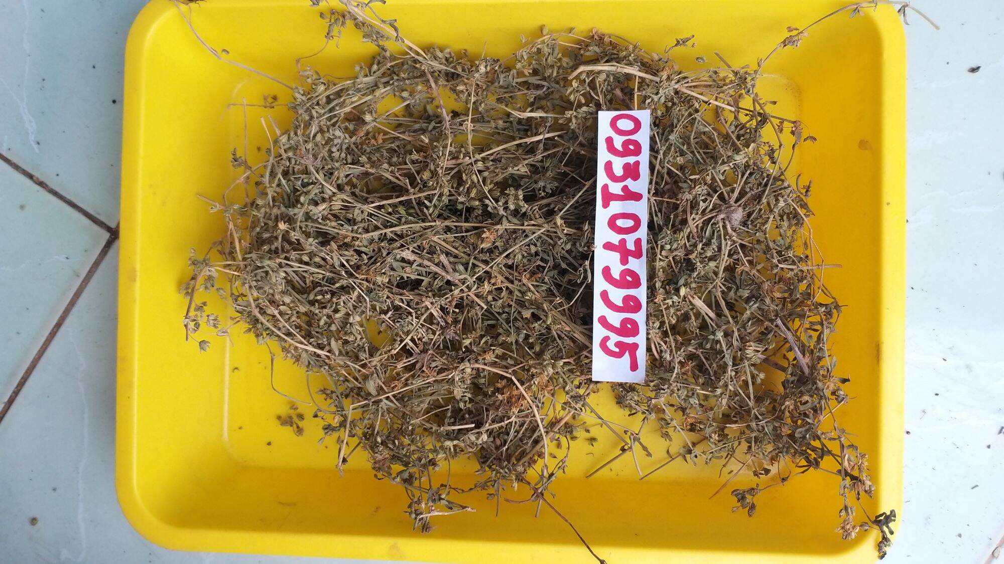 Rau đắng đất phơi khô 1kg
