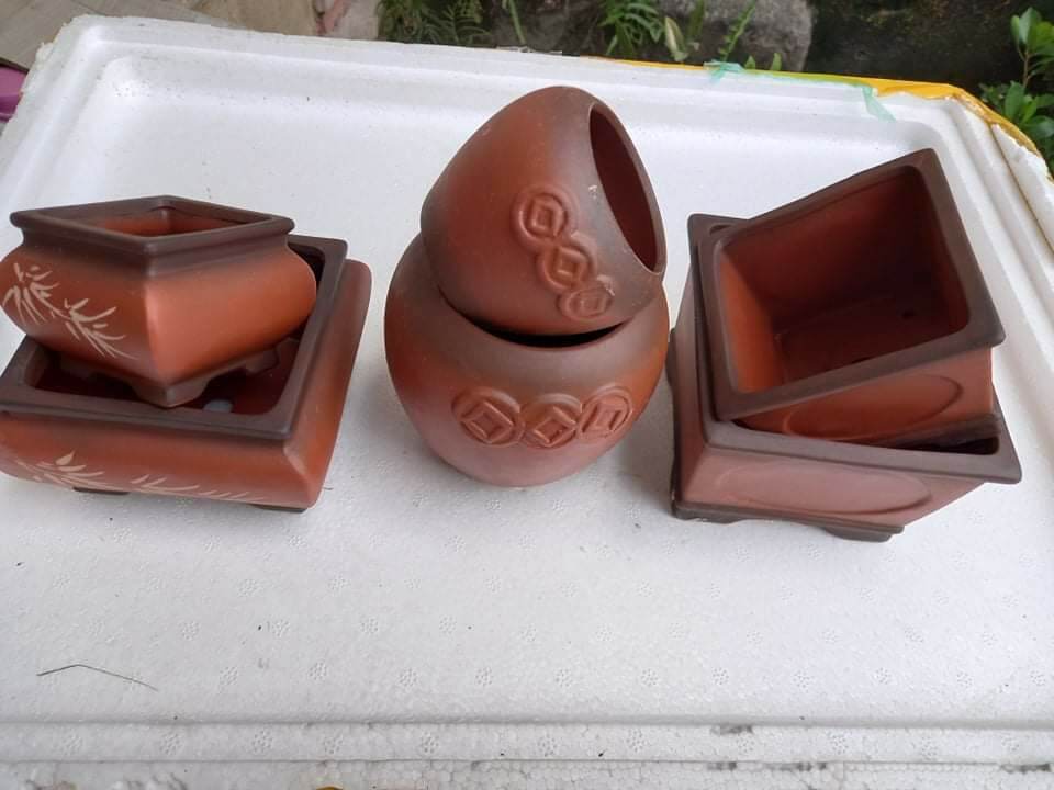 Combo 6 chậu bonsai, chậu trồng sen đá