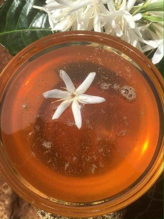 Mật ông hoa cà phê chai 1 lít