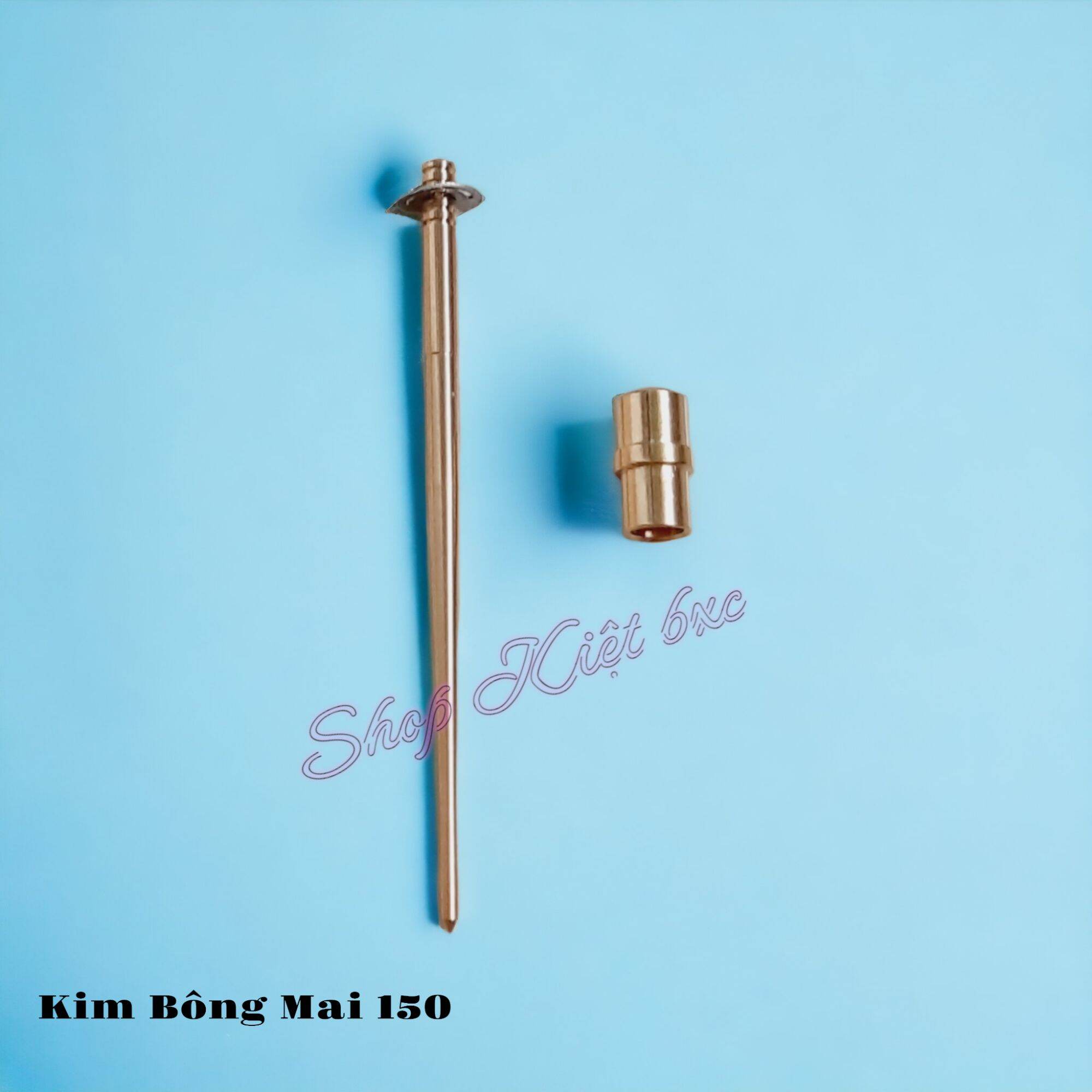 Bộ kim xăng chế hoà khí (bình xăng con)