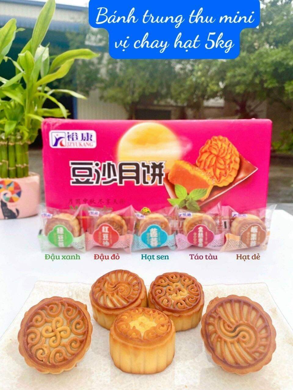 Bánh trung thu mini đài loan thùng 1kg