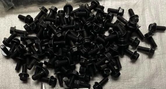 ốc 8ly2 phân Loại tốt (10 con)