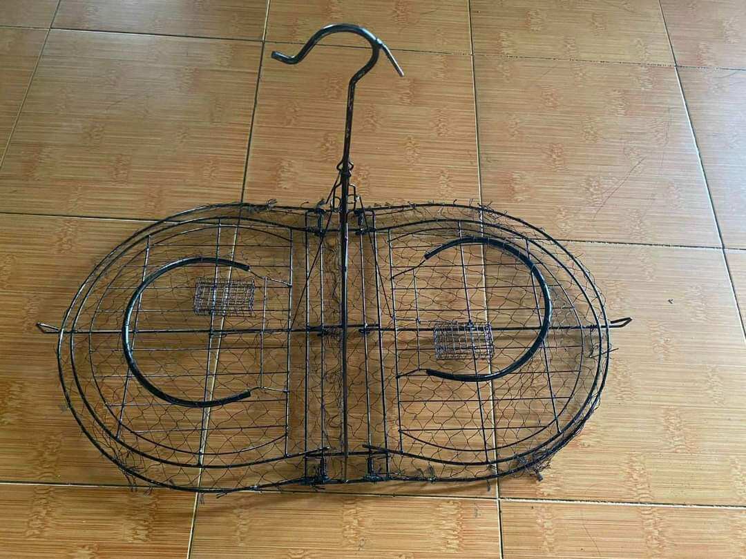 mẹt bịp 2 mặt ( bẫy bìm bịp)