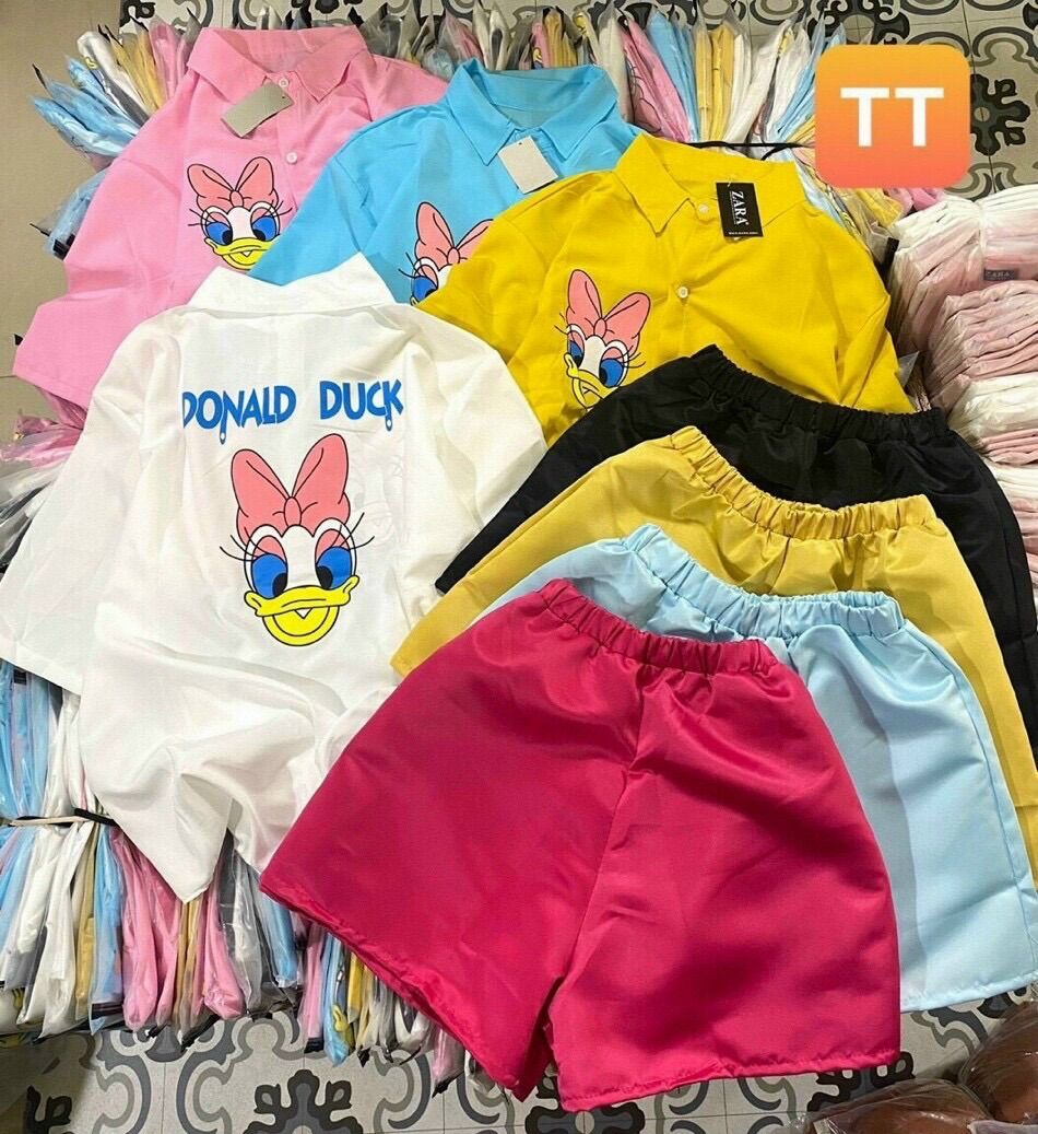 Set sơmi vịt