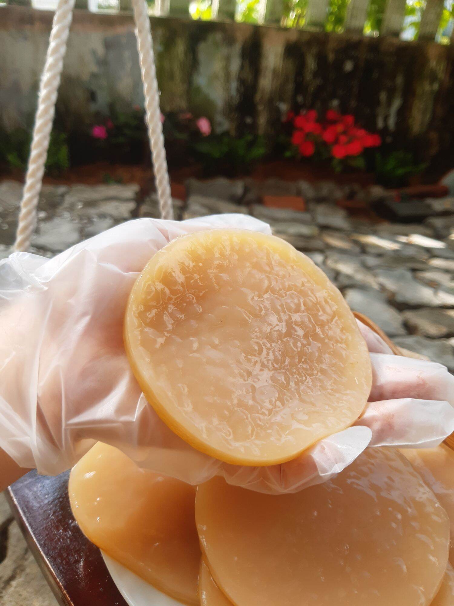 Trà Jun Kombucha (Champagne của Kombucha)