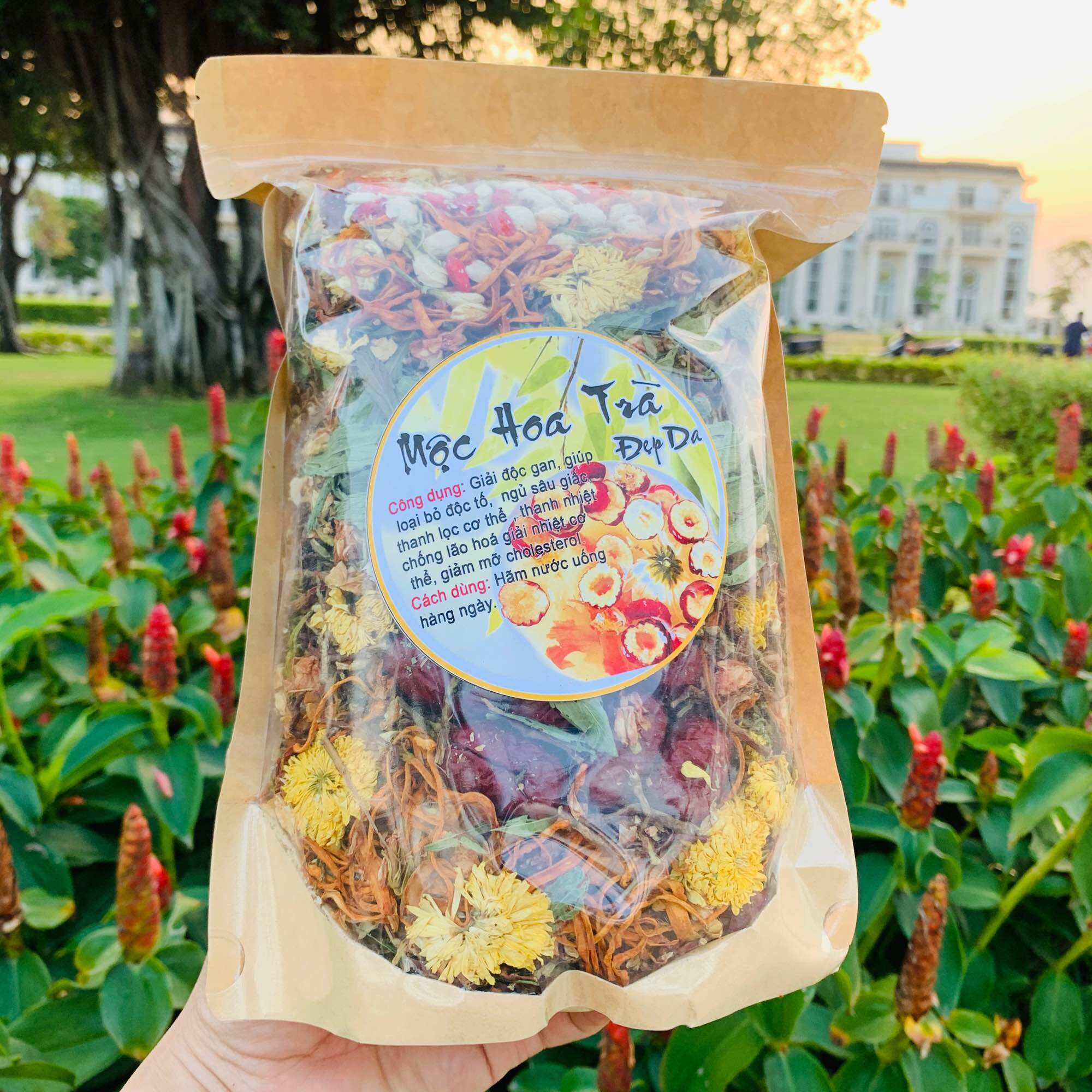 Trà thảo mộc Mộc hoa trà Tây bắc 7 vị thảo mộc