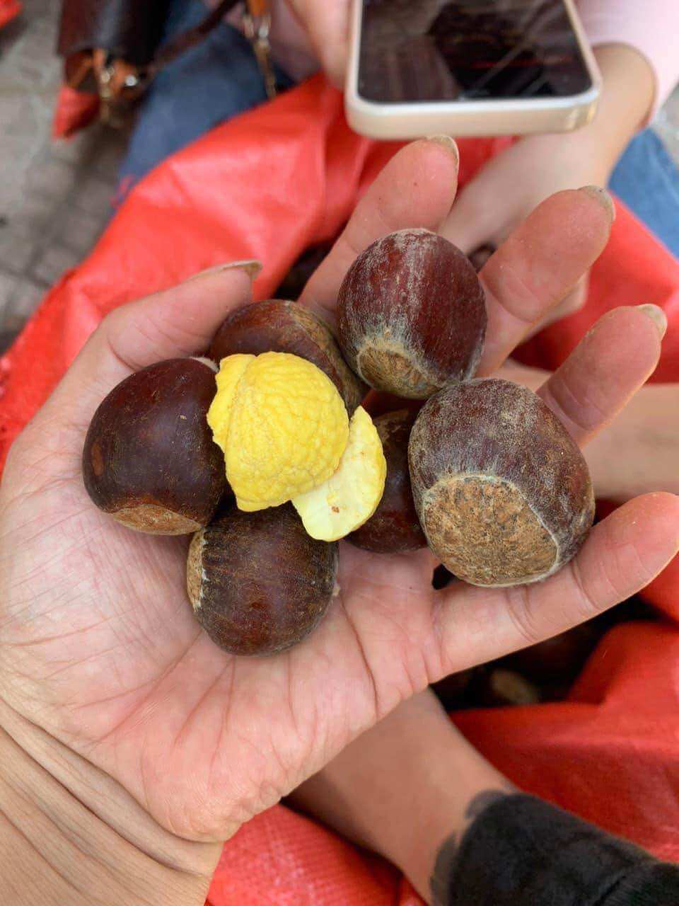 1kg hạt dẻ tươi cao bằng