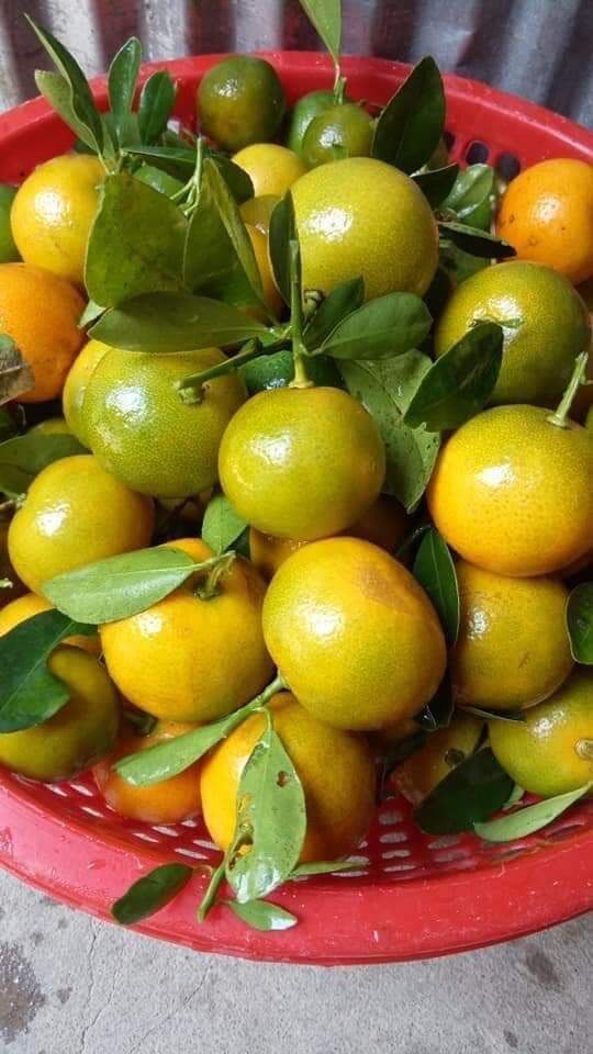 Tắc xí muội đường phèn 1kg