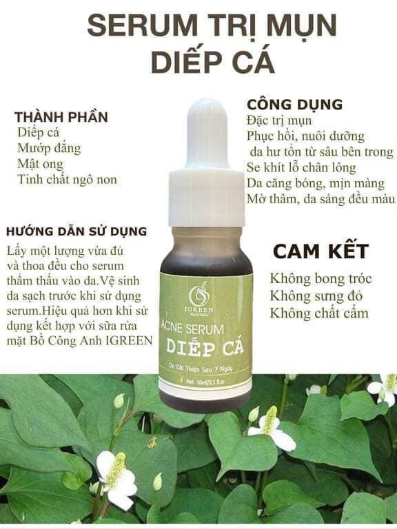 Serum Diếp Cá igreen