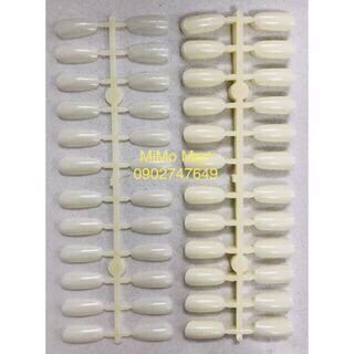 Móng Mẫu Gắn Sổ/Tập Vẽ 120/240 móng.