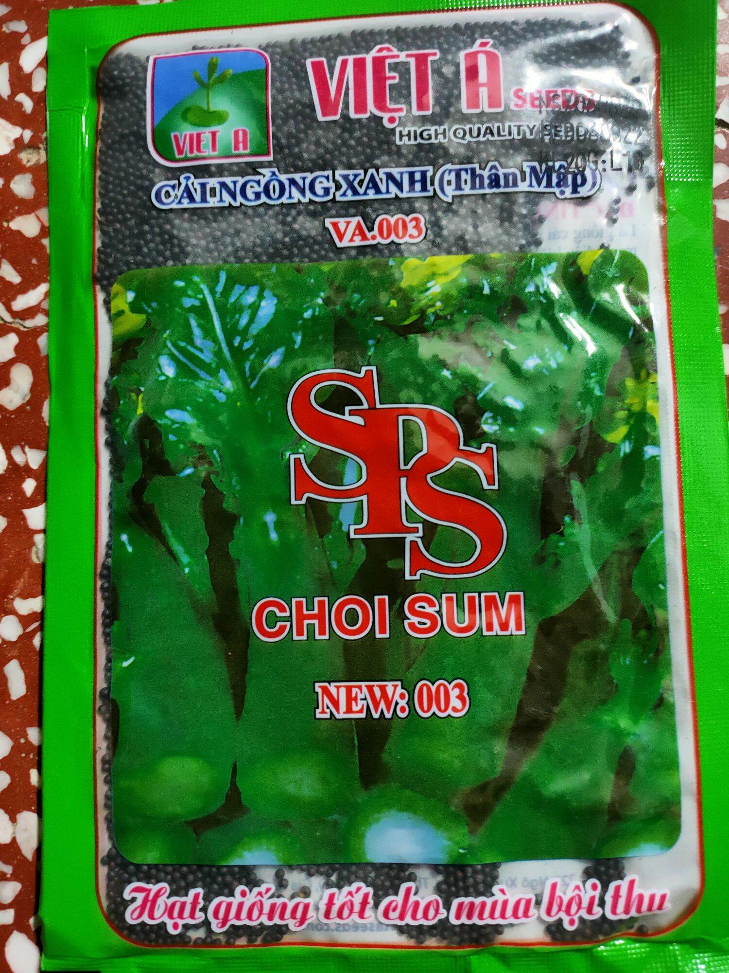 hạt giống cải ngồng thân mập [20g]