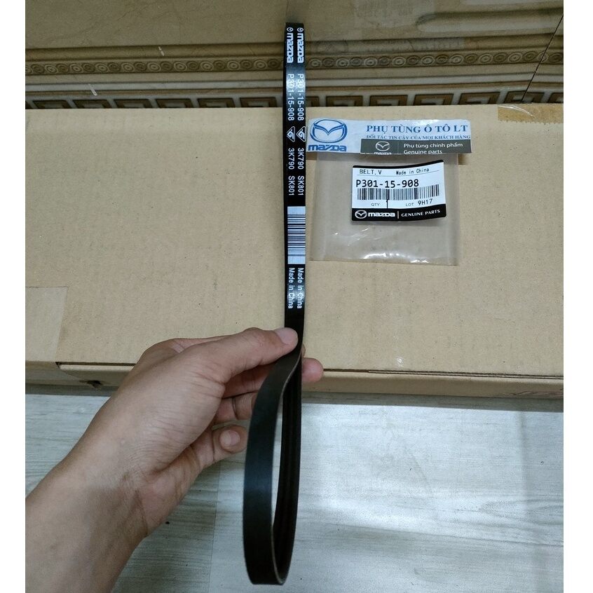 Dây curoa bơm nước mazda 2 chung mazda 3 2015-2022 1.5 xịn
p30115908