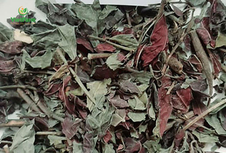 1KG LÁ ĐƠN ĐỎ , HẾT DỊ ỨNG MẨN NGỨA