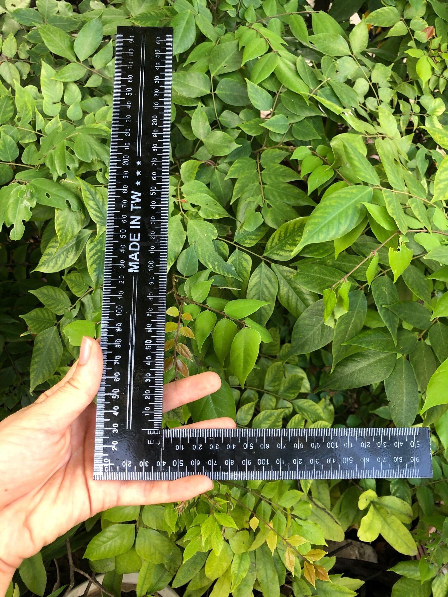 📐Thước góc Eke góc vuông kim loại 20✖️30cm(hàng chuẩn)