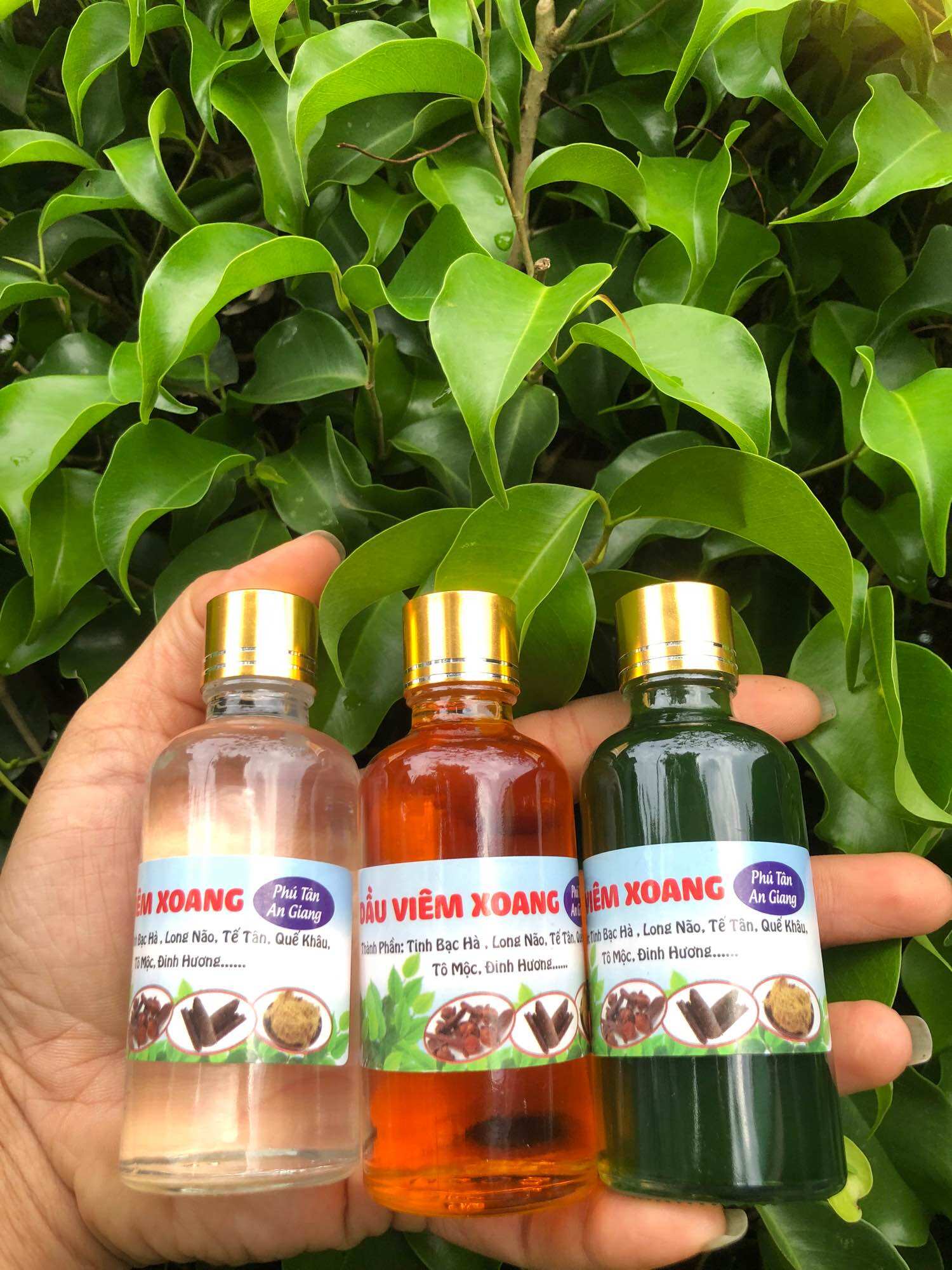 DẦU VIÊM XOANG XANH 50ML