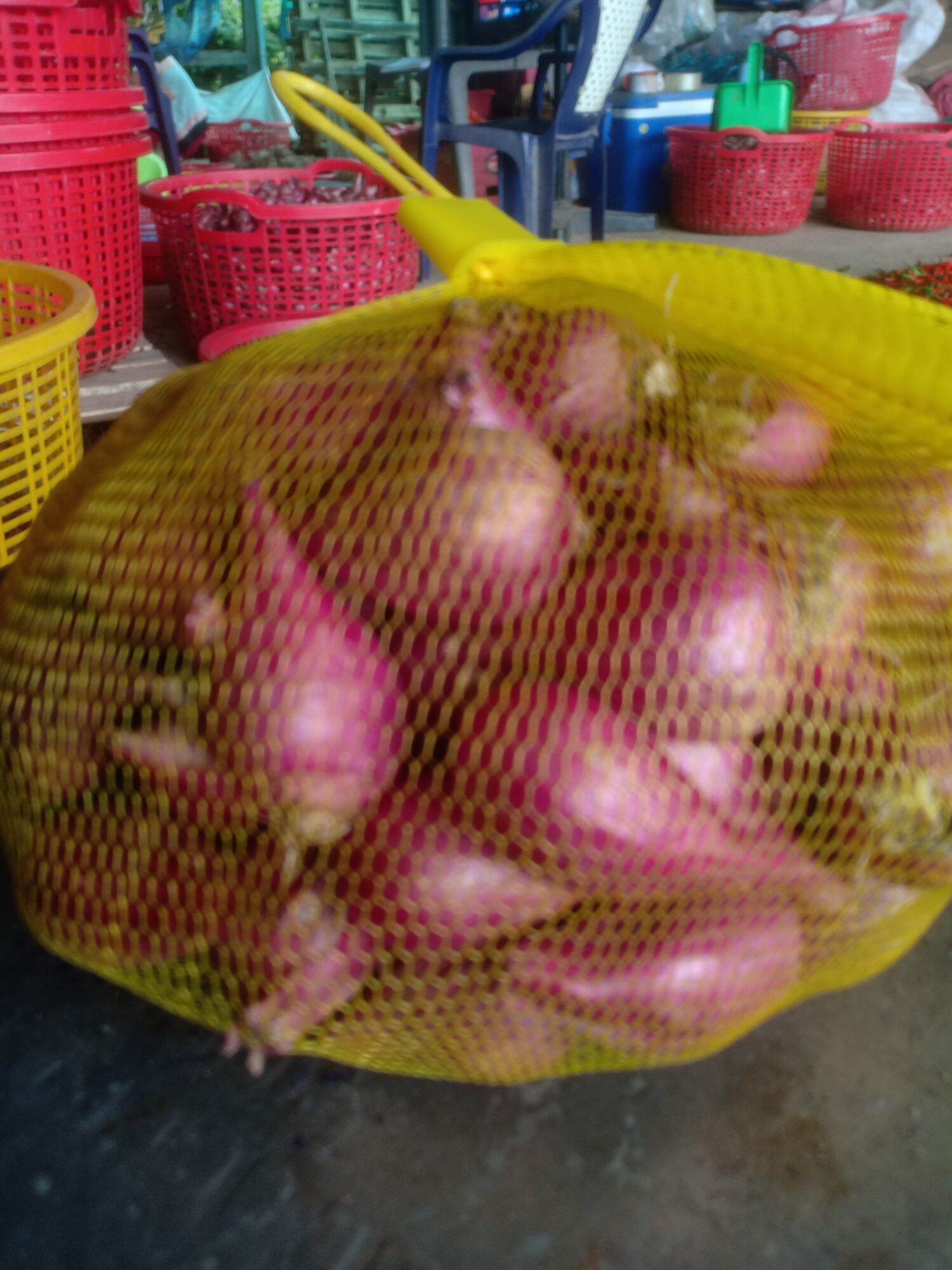 hành tím phan rang loại to, túi 1kg.