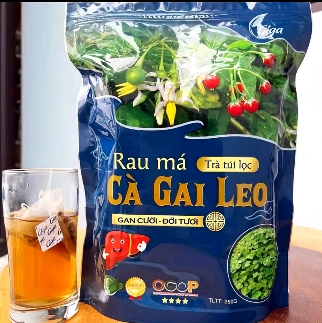 Bịch 1Kg Trà túi lọc Cà gai Leo rau má Giga ( 240 túi lọc)