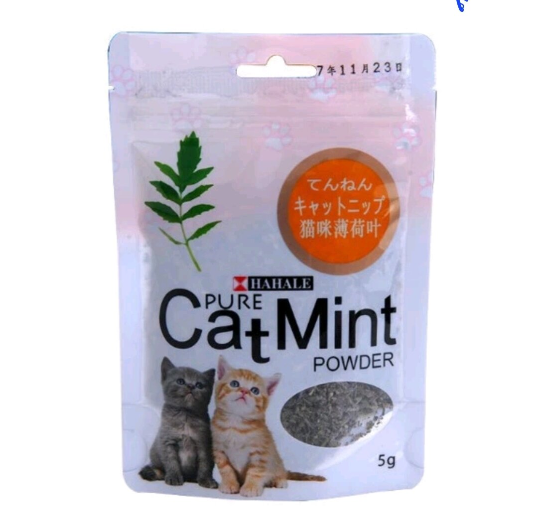 [Q12]Cỏ bạc hà Catnip / catmin cho mèo gói 5g
