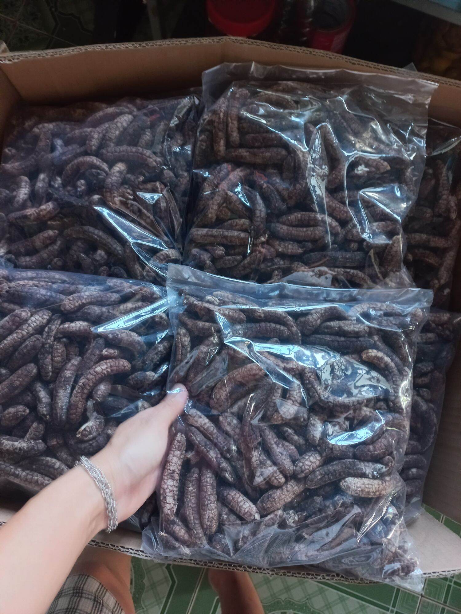 Chuối hột rừng tây nguyên